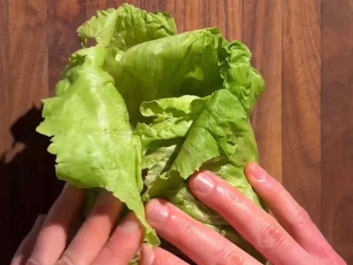 Hambúrguer Fit Sem Pão Vegano: A técnica para um burger de plantas suculento e sem mistério! Hmaburguer de alface