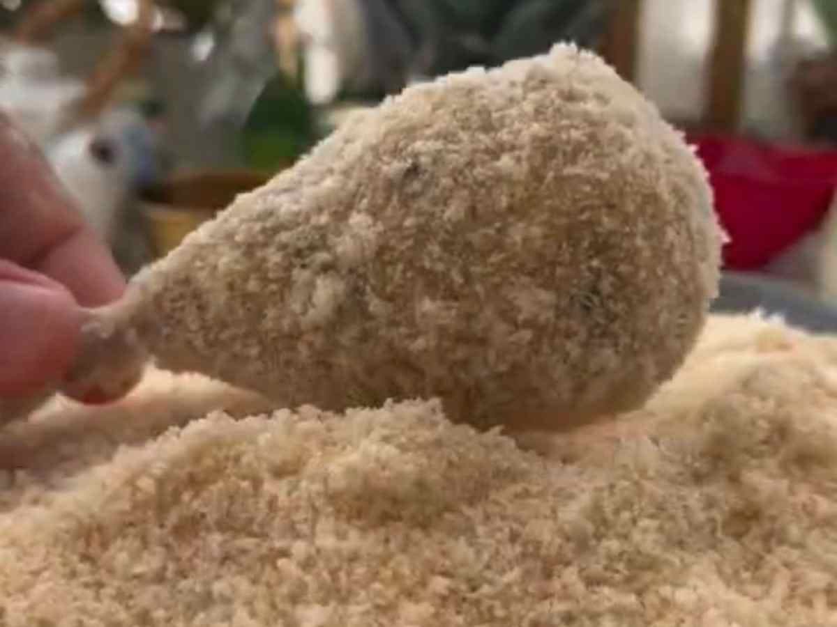 Coxinha de Frango com Queijo: coloque suas coxas na panela e veja o truque do osso que viralizou #116 coxinha de frango empanado